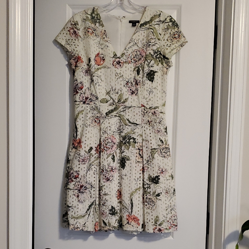 Ann Taylor Cream and Green Floral Eyelet Dress Sz 4P